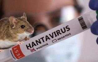 На Львівщині в чоловіка виявили хантавірус