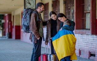 Скільки зараз українців хочуть повернутися додому?