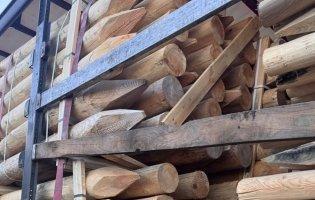 На «Ягодині» зупинили фуру з деревиною сумнівного походження, яку везли до Ірландії