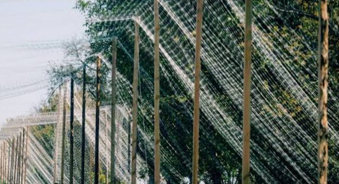 Скільки кілометрів логістичних маршрутів захищено від БПЛА