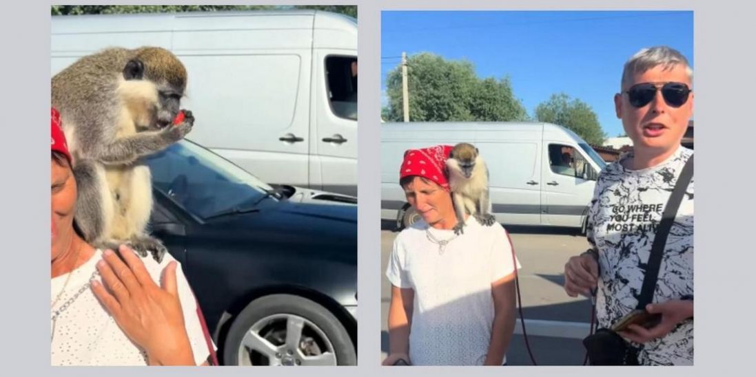 Пропонував фотосесії з мавпою: у Шацьку оштрафували чоловіка