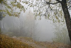 Туман в осінньому Луцьку