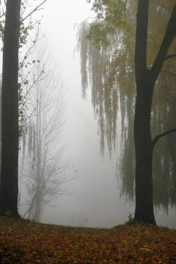 Туман в осінньому Луцьку