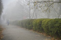 Туман в осінньому Луцьку