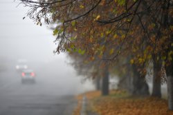 Туман в осінньому Луцьку