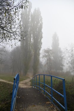 Туман в осінньому Луцьку