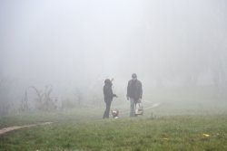 Туман в осінньому Луцьку