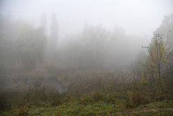 Туман в осінньому Луцьку