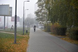 Туман в осінньому Луцьку