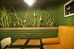 Зверніть увагу на оригінальний новорічний декор