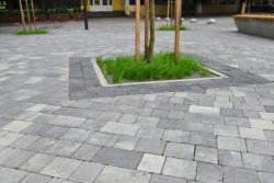 Сквер біля Mr.Benedict Cafe