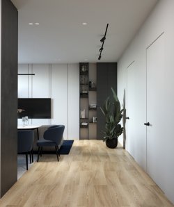 ДИЗАЙН ДВОКІМНАТНОЇ КВАРТИРИ ВІД СТУДІЇ «DESTYLE»